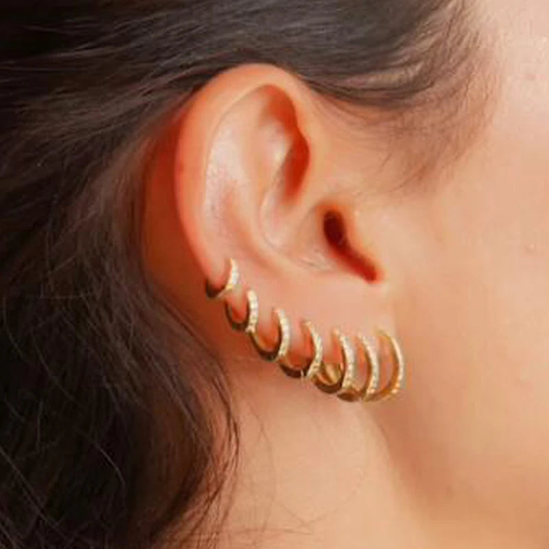 Stainless Steel Hoop Earrings